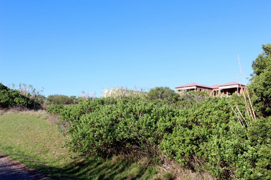 0 Bedroom Property for Sale in Forest Downs Eastern Cape